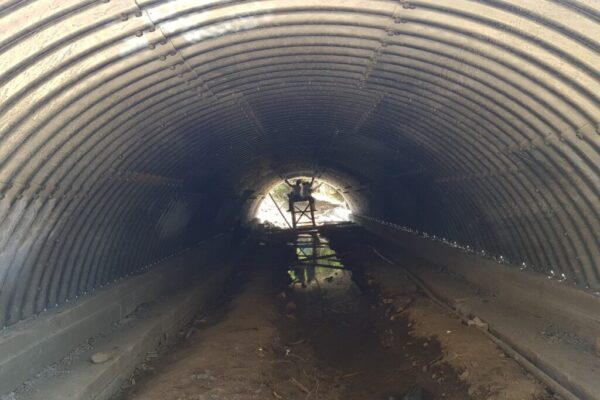 WhatsApp-Image-2023-12-22-at-10.09.45 WhatsApp-Image-2023-12-22-at-10.09.45